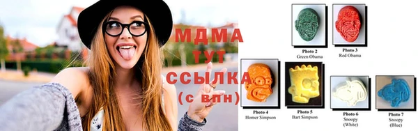 мдпв Вяземский