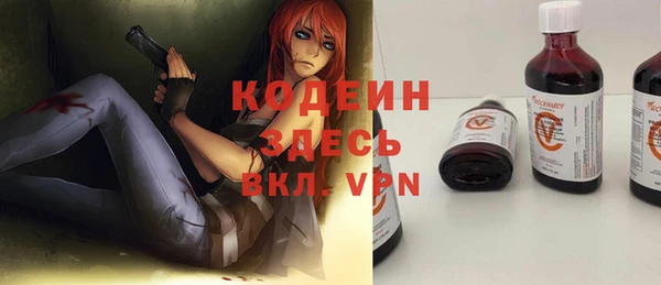 мдпв Вяземский