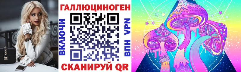 цена   Любань  Псилоцибиновые грибы Cubensis 
